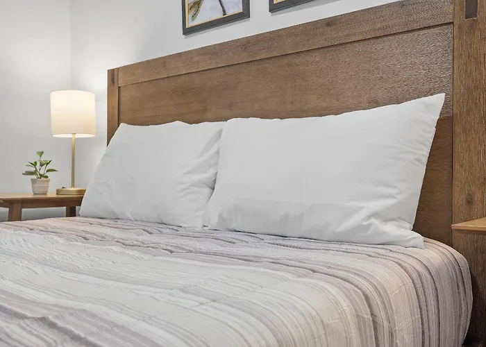 Shadyside 1d Stylish And Cozy Private Bedroom With Shared Bathroom Privatunterkunft Pittsburgh